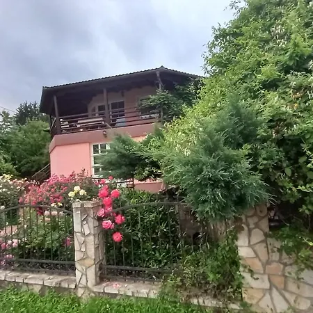 Sani