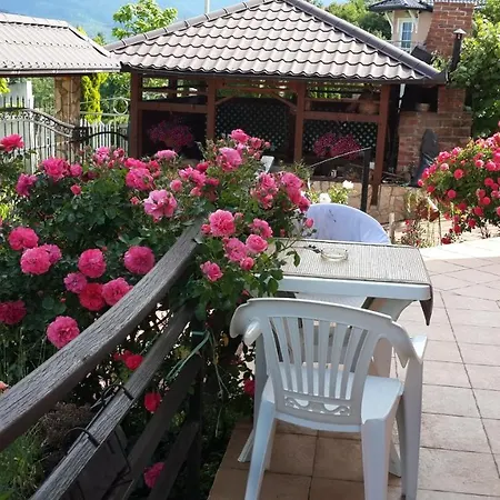 Sani Villa *